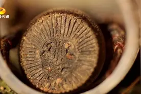 螲蟷外形特殊前半截像蜘蛛 专家：后半截完全像怪物