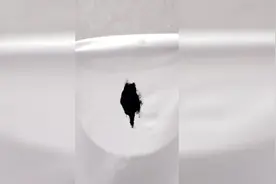油性笔的水弄到衣服上怎么能洗掉 拯救你的T恤！视频封面