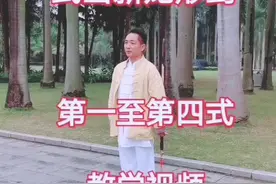 全国锦标赛冠军，太极拳名家：李国强，武当新龙形剑1一4式教学视频。