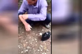 老伯坟前捉蛇被咬，手立刻变黑，却淡定得不得了视频封面