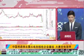电力改革箭在弦上 5大发电央企将合并重组视频封面