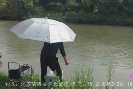 走水河使用经典打窝法，饵料也有了较大的改变，那么效果怎么样呢