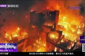 回顾36年前“4.17”大火，哈市消防牢记教训，宣传消防知识
