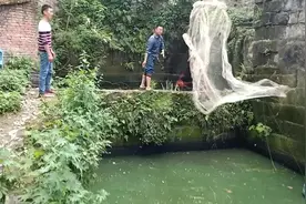 四川人的板眼儿多，撒个网，逮个鱼，我却笑哭了