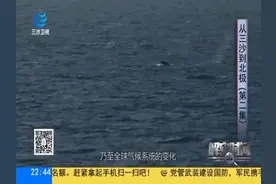 北极离中国大陆这么远？为什么还要费这么大力气前去科考？视频封面