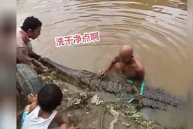 男子跳入水中，抱起5米长达鳄鱼，看得让人不寒而栗视频封面