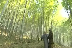 智慧语录：礼拜妙法莲华经视频封面