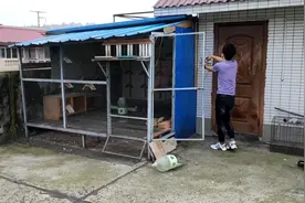农村川娃子买回一套二手信鸽比赛用的扫描器，你们猜猜多少钱？视频封面