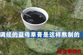 养血调经的益母草膏熬制可不容易哦