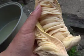 笋干如何泡发更美味？江西客家小伙告诉你，网友看后都说涨知识了视频封面