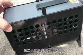 开箱149元红外线捕鼠神器，放上的当天晚上，就逮到一只大老鼠！视频封面