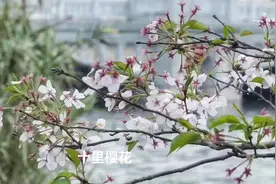 瓯江口新区速览视频封面