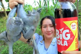 柬埔寨姐姐教你用超大可乐炖乌鸡