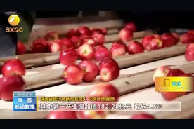 一季度陕西省GDP同比增长6.3%， 经济运行呈现三稳、三升、两忧视频封面