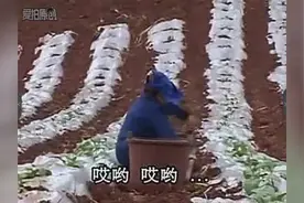 《云南搞笑山歌剧》矮老奶改嫁 下集（2）图片
