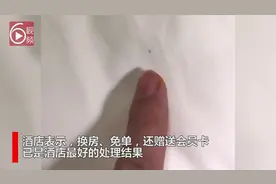 男子入住玉林一酒店，深夜床上十几条虫子在爬，酒店回应了视频封面