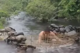 澳洲小哥又出家门了，这次教你如何修河坝，捕鱼吃~