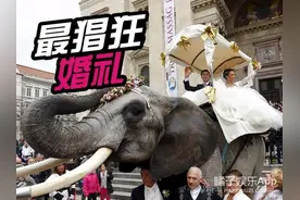 马戏团和杂技演员情人节骑大象结婚，路人吓呆...图片