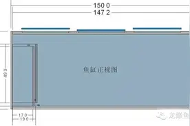 要想称霸鱼界，得先解决这些问题！图片