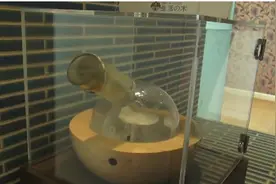 见识下日本的五星级女性专用高级厕所里到底都有啥视频封面