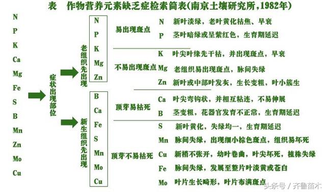 农作物营养元素过剩症状分析及改善技术，果农朋友赶紧看一下吧！