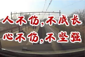 一首《人不伤，不成长；心不伤，不坚强》好听醉了视频封面