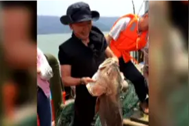 广东渔民顶风作案非法出海捕鱼，为一己私利违反法律