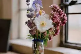 台湾花艺大师 插花教学 迎春视频封面