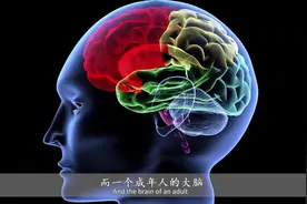 人类的大脑，相当于多少G的内存？科学家给出答案视频封面