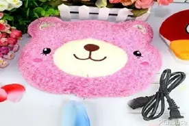 电热宝什么牌子好 电热宝价格图片