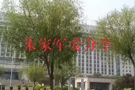 奋斗路上的第46个日夜兼程，换来的是沉淀，是思考？还是坚持到底