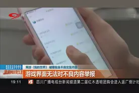 网游《我的世界》被曝含不良交友内容，游戏界面却无法对其举报