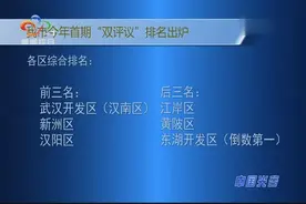 武汉市今年首期“双评议”排名出炉视频封面