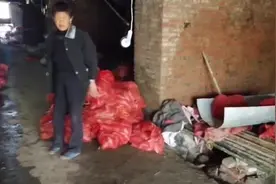 大型，红薯窖保存红薯？有保存10年经验还会烂掉？看是什么情况？视频封面