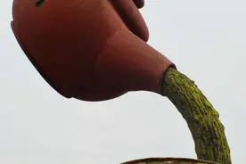 重庆悬空茶壶遭吐槽 绿色水柱似粪便图片