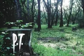 《消逝的光芒》重现恐怖游戏《P.T.》 更加黑暗恐怖图片