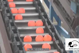 实拍小钢珠生产制造过程，1分钟能生存1000颗，看完瑟瑟发抖视频封面