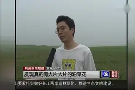 生态修复：石首市奋力打造百里长江画廊