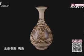 博物馆馆长带来藏品找专家鉴定，专家做出专业点评视频封面