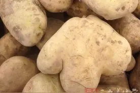 睡前吃这五样让你噩梦缠身图片