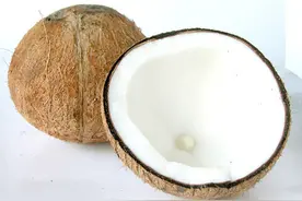 30秒教你如何完整剥开椰子，完整享用“椰子水和椰肉”！图片