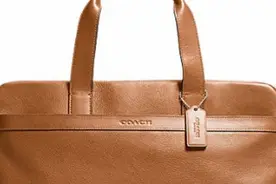 只恨认识张大妈太晚：Coach 蔻驰 男士全皮公文包 使用感受图片