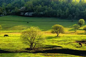 阅读丨给自己开一份旅行书单图片
