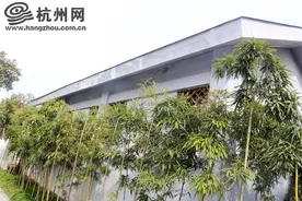 杭州一公共厕所内粪便满出蹲坑 废弃纸巾酒瓶散落一地图片