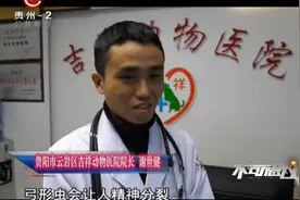 不可思议：养猫真的会患精神分裂症吗？