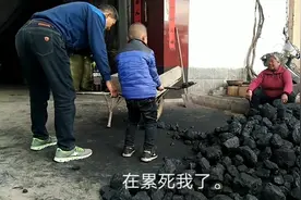 6岁农村娃帮爸妈，有模有样，全程装车，你家宝宝喜欢干活吗？