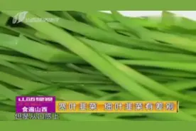 韭菜也有大学问！如何挑选新鲜营养的韭菜？记住这几个窍门就好
