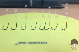 新关东是钓鲤鱼首选，但是这么多你会选吗？小花用实测数据教你视频封面