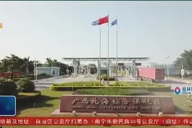 北海：海关机构改革一周年 口岸通关展现新面貌视频封面