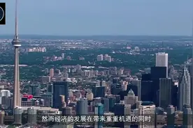 毫不犹豫！中国断然加拿大的2000亿巨单说“不”，这事做的好！视频封面